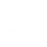 Visit us on X!